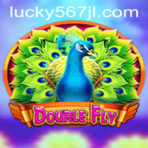 The Thrilling World of DoubleFly